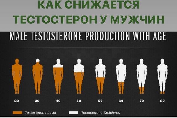СНИЗИЛСЯ ТЕСТОСТЕРОН?