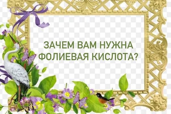 ФОЛИЕВАЯ КИСЛОТА (ВИТАМИН В9)