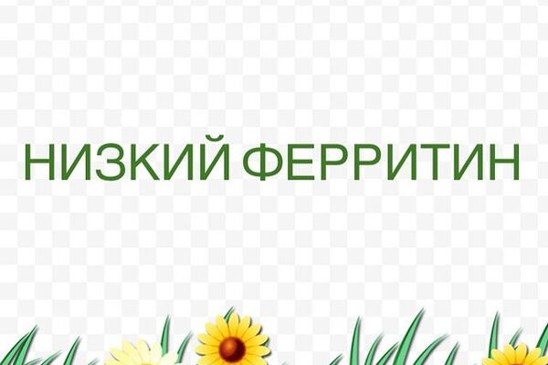 Железодефицитная анемия занимает 4 место в мире.