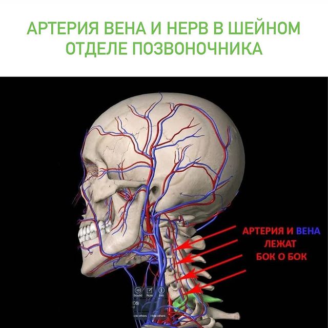 Отёки на лице.